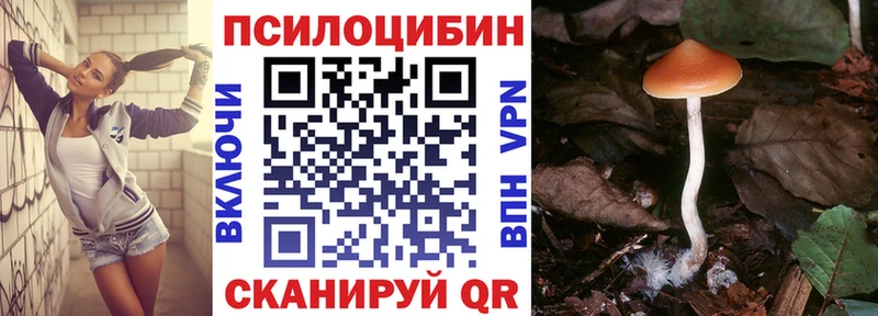 Псилоцибиновые грибы мицелий  Артёмовский 